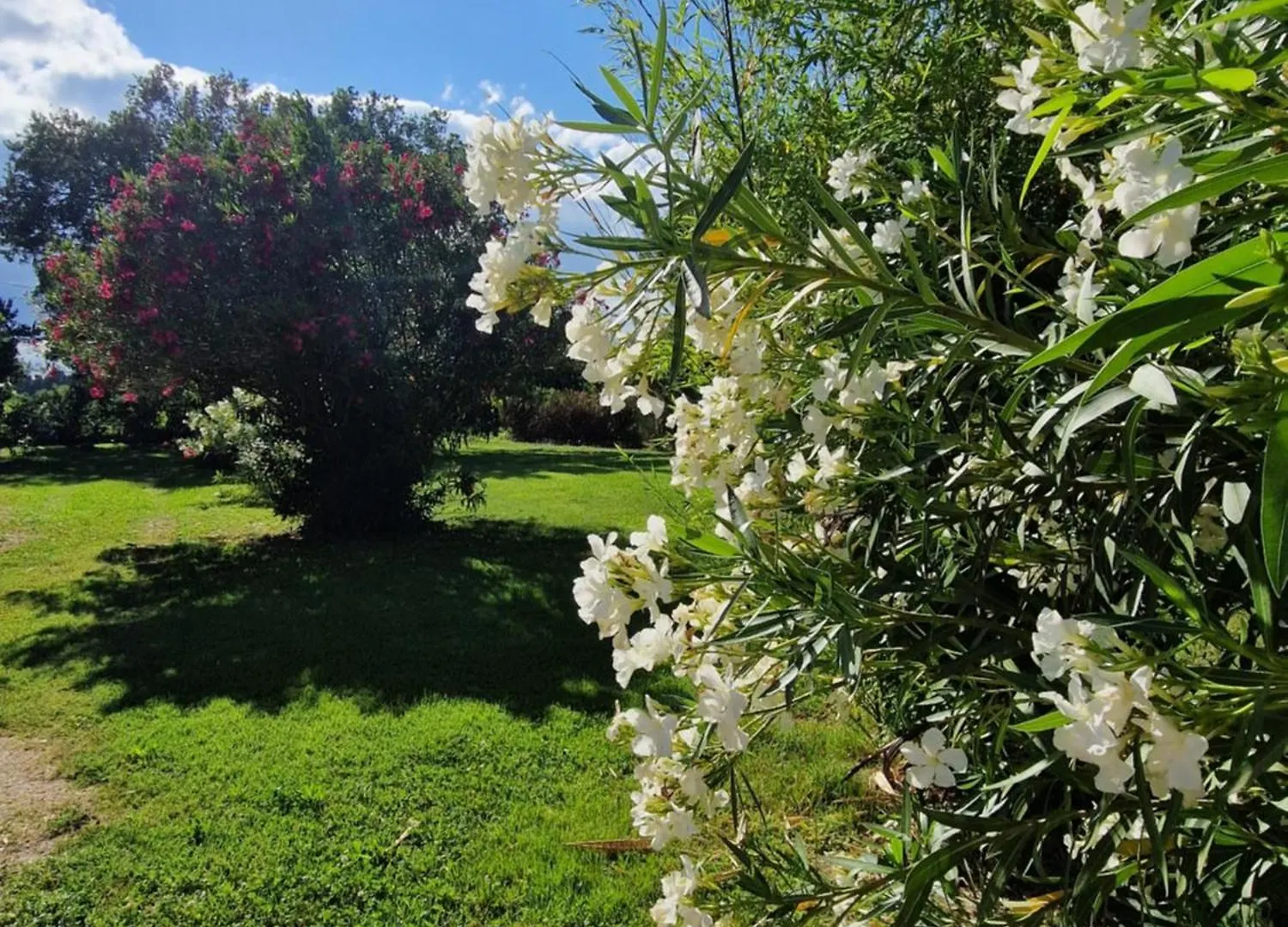 Mes Chambres A La Campagne Οράνζ Δωμάτια σε οικογενειακή κατοικία
